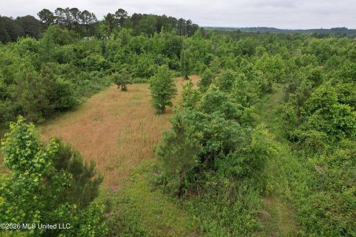 Hunting Land For Sale Lawrence County Silver Creek Mississippi