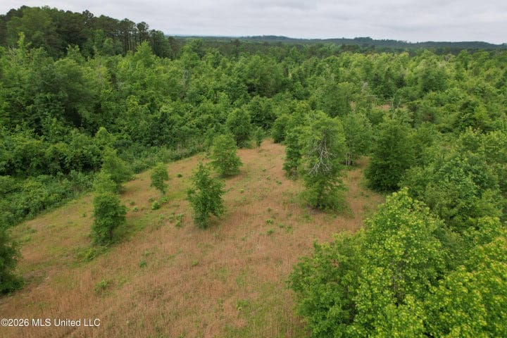 Hunting Land For Sale Lawrence County Silver Creek Mississippi