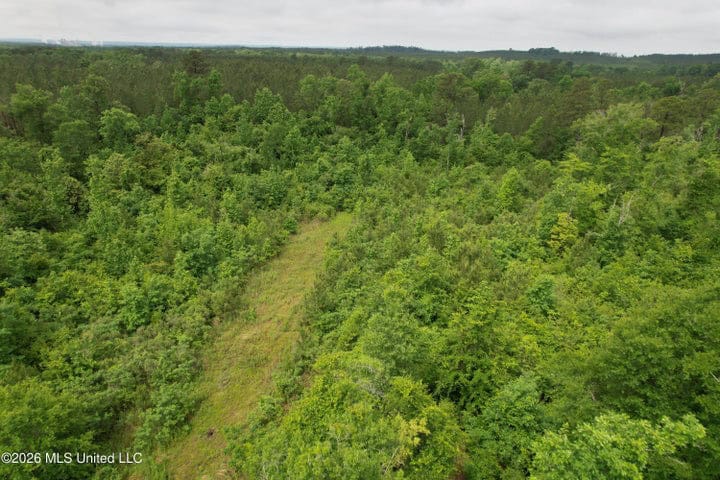 Hunting Land For Sale Lawrence County Silver Creek Mississippi