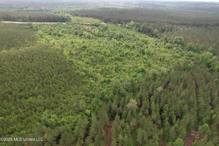 Hunting Land For Sale Lawrence County Silver Creek Mississippi