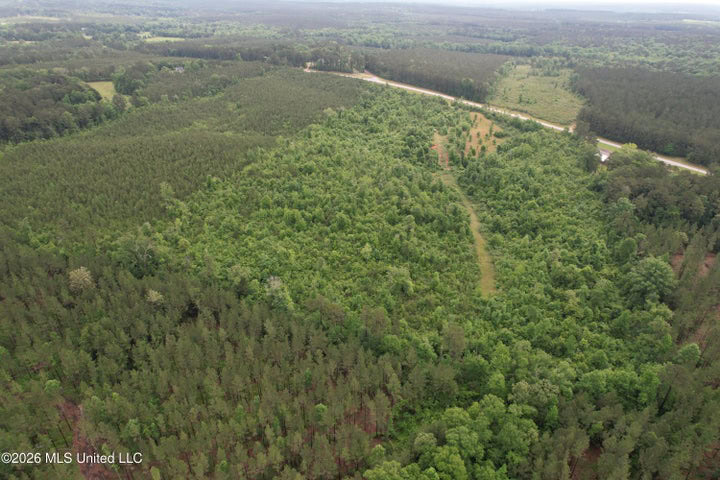 Hunting Land For Sale Lawrence County Silver Creek Mississippi