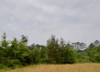 Hunting Land For Sale Lawrence County Silver Creek Mississippi