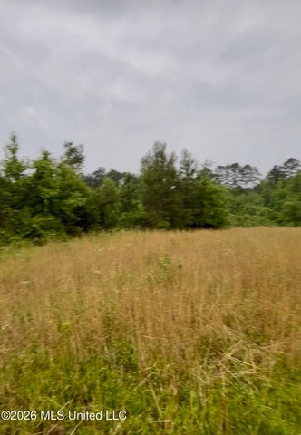 Hunting Land For Sale Lawrence County Silver Creek Mississippi