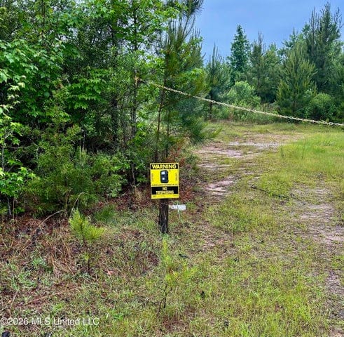 Hunting Land For Sale Lawrence County Silver Creek Mississippi