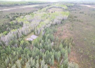 120 ± Acres with New Cabin located in Butternut, WI
