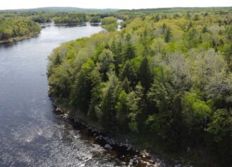 Maine River Property – 40.18 Acres – Woodville