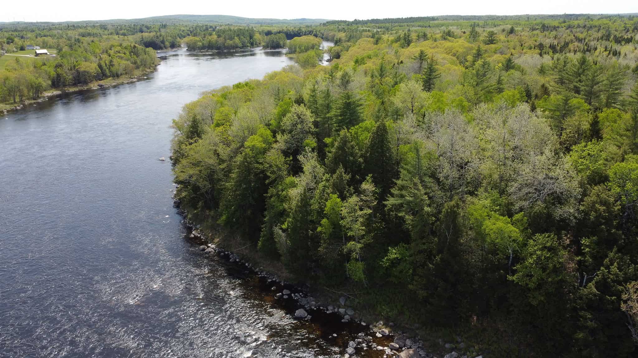 Maine River Property – 40.18 Acres – Woodville