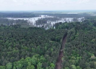 Saline Lake Hunting Property and Lodge Winn Parish LA