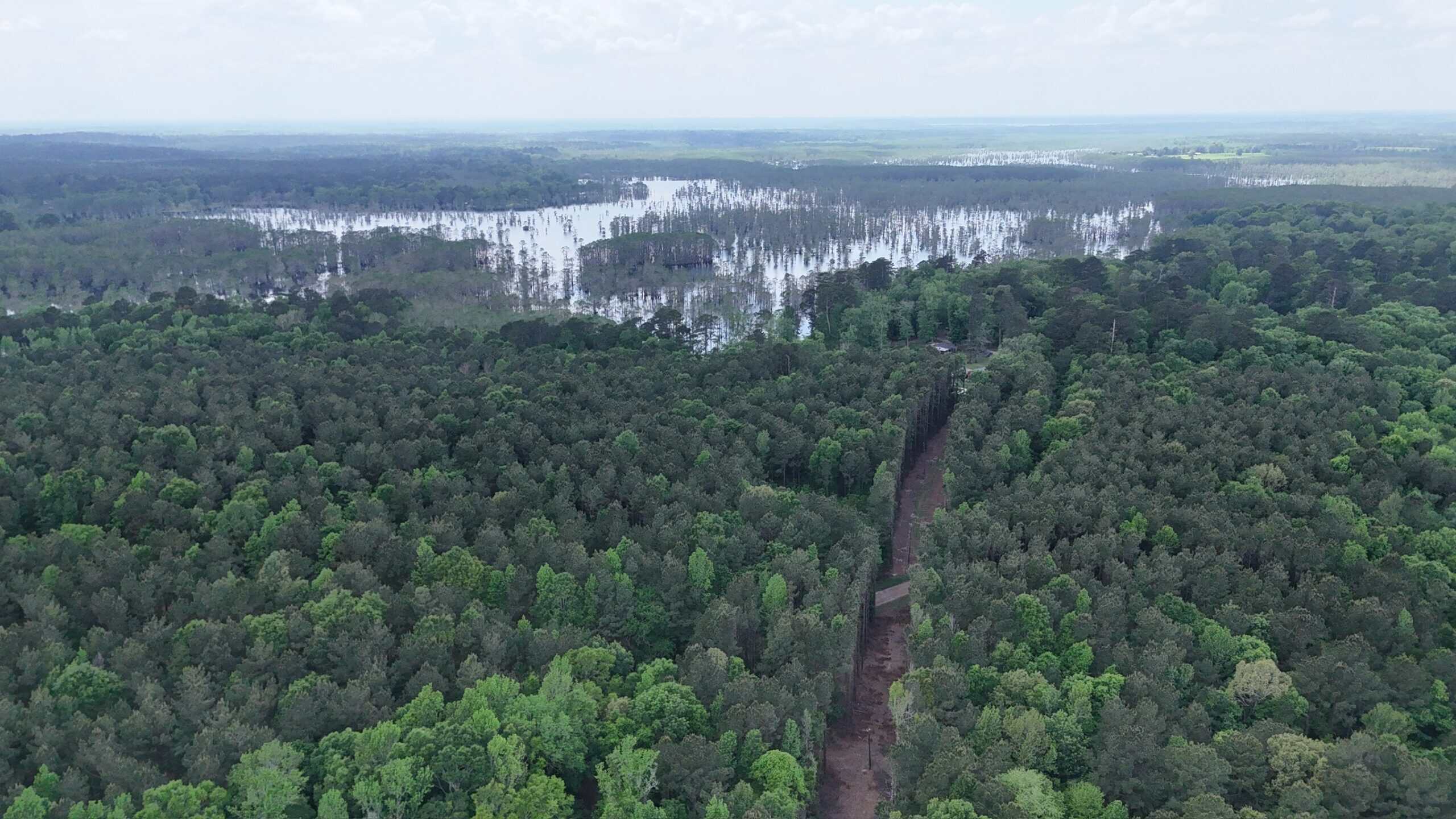 Saline Lake Hunting Property and Lodge Winn Parish LA