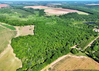 Exceptional 110 ac Hunting & Recreational Property in Shellman, GA