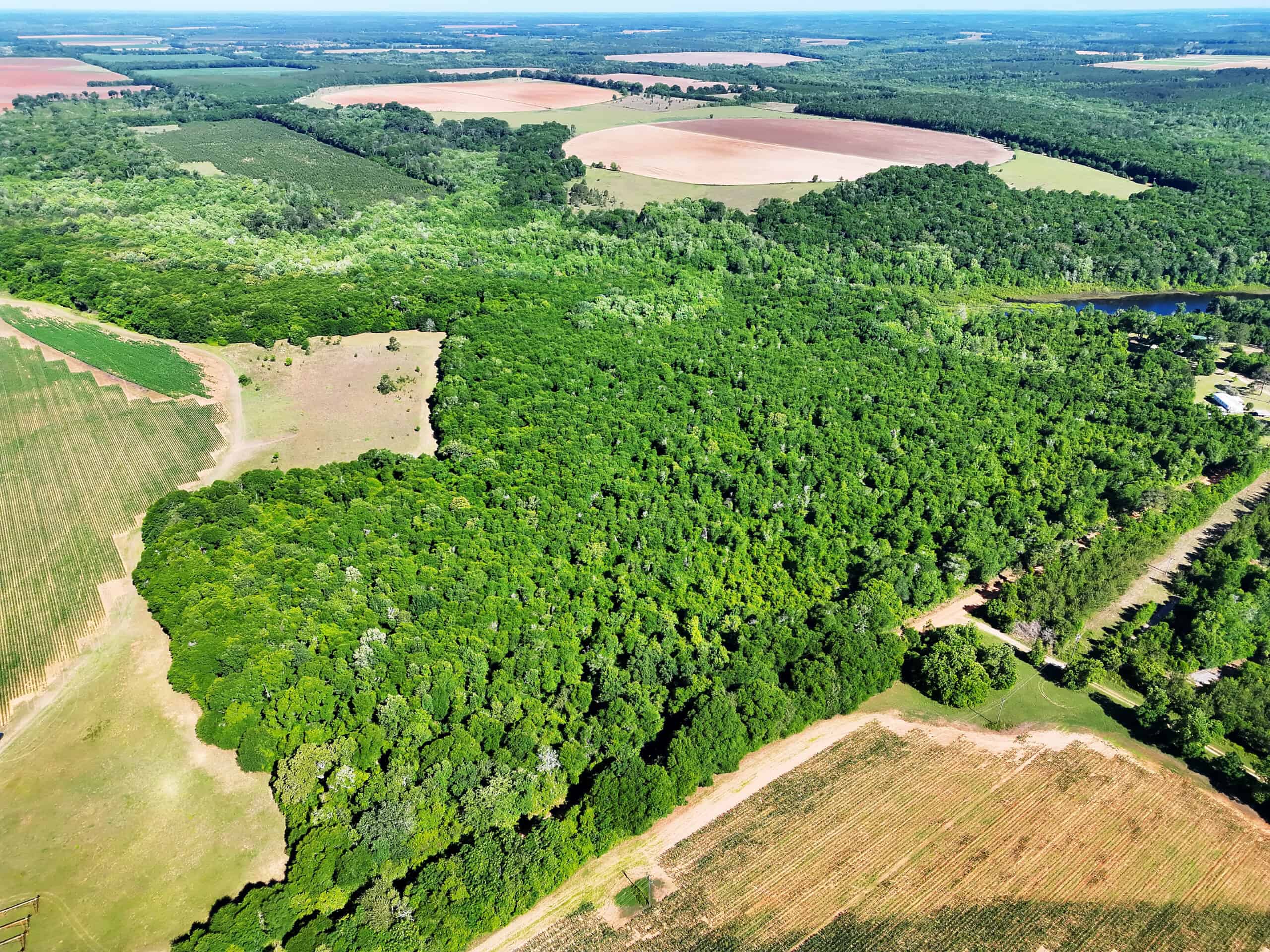 Exceptional 110 ac Hunting & Recreational Property in Shellman, GA
