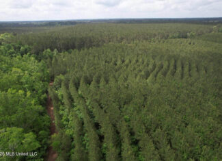 56 Acres in St. Helena Parish with Black Creek
