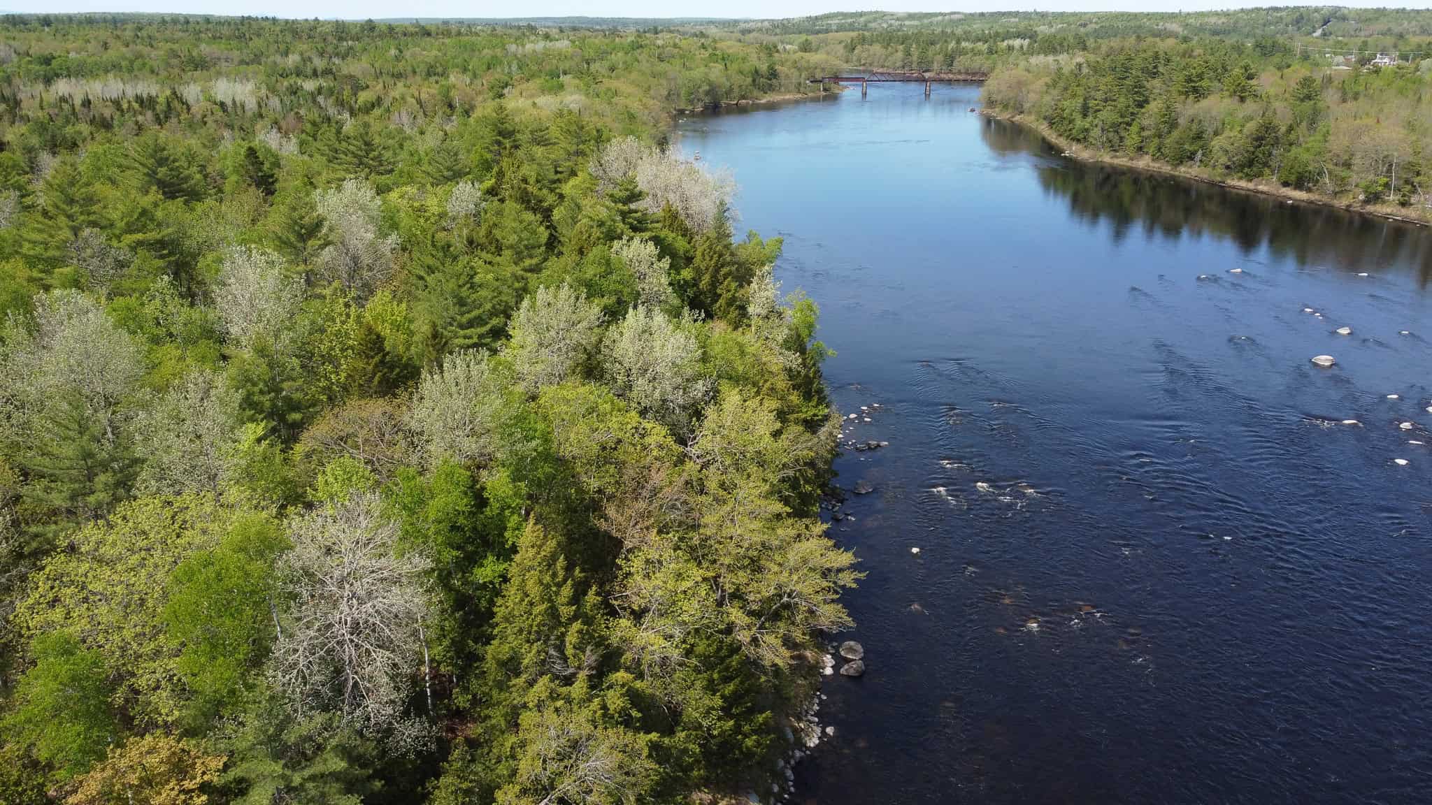 Maine River Property – 40.18 Acres – Woodville