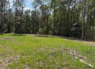 LA Recreation & Timber Property Joining Saline Lake
