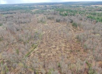 80 Acre Portage County Timber Tract For Sale