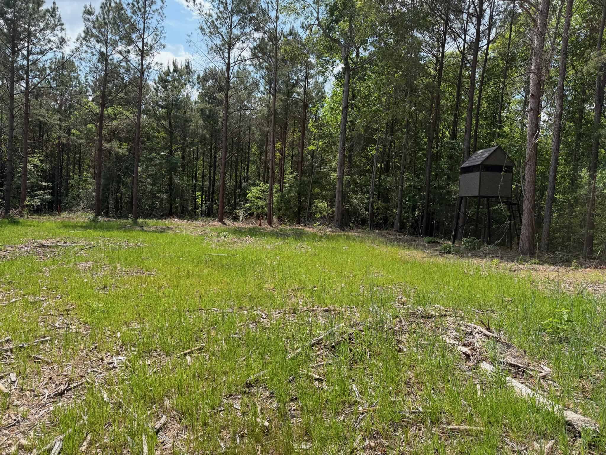 LA Recreation & Timber Property Joining Saline Lake