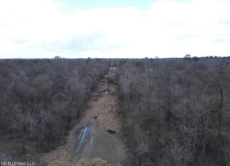 470 Acres on Calcasieu River in Allen Parish, LA
