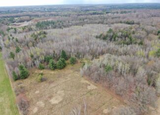 Portage County 40 Acre Hunting and Rec Property for Sale