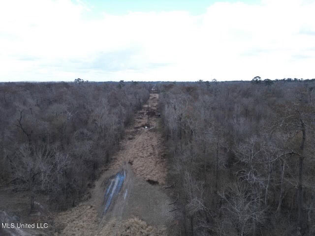 470 Acres on Calcasieu River in Allen Parish, LA