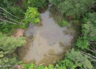 15 Acres with Pond & Homesite in Liberty, MS