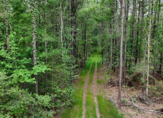 Hunting land with a Camp on Saline Lake Winn Parish LA