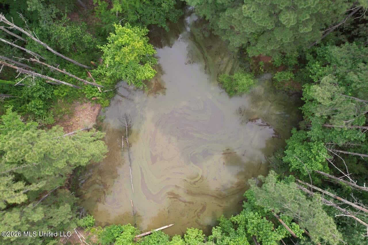 15 Acres with Pond & Homesite in Liberty, MS
