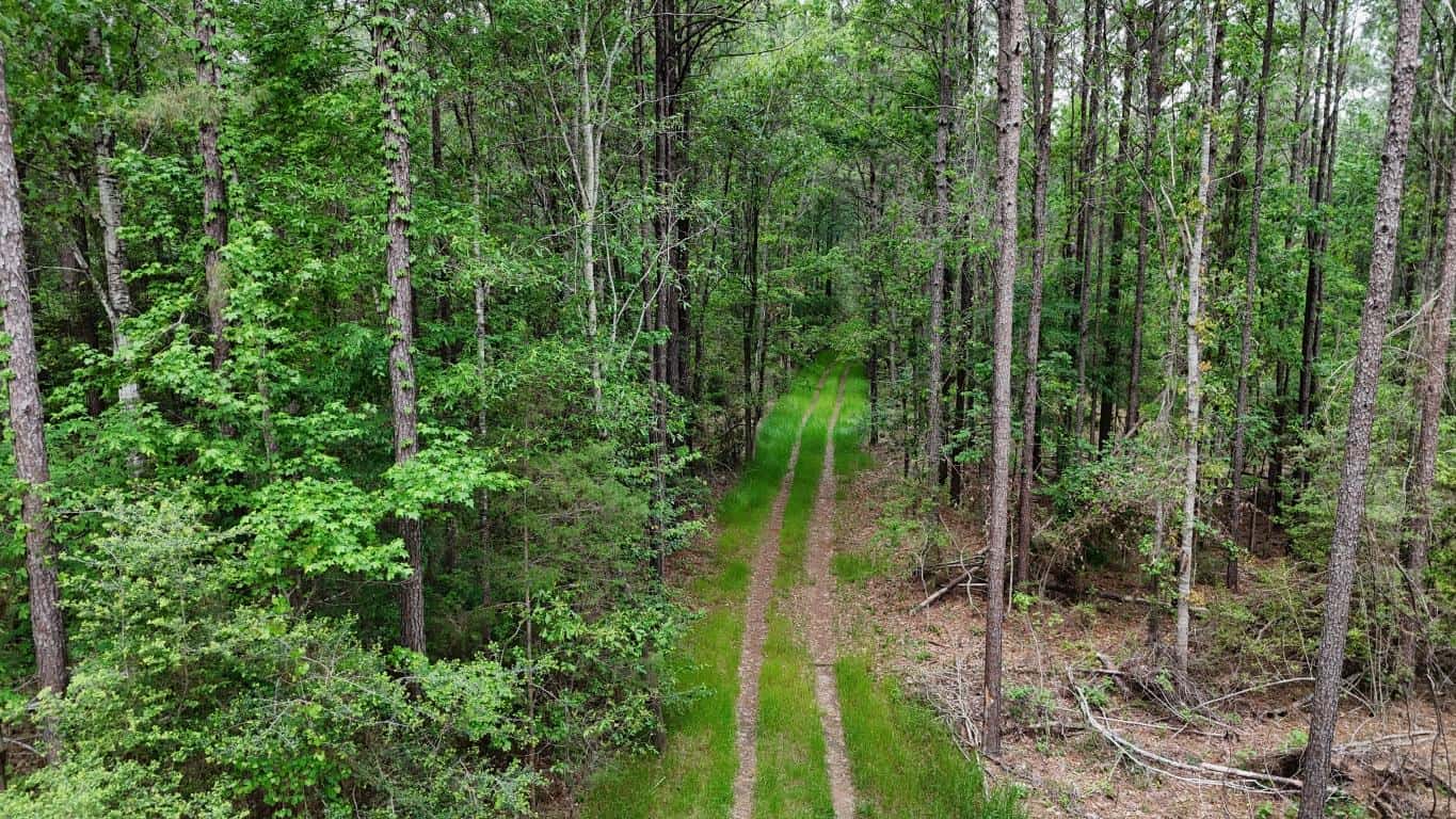 Hunting land with a Camp on Saline Lake Winn Parish LA