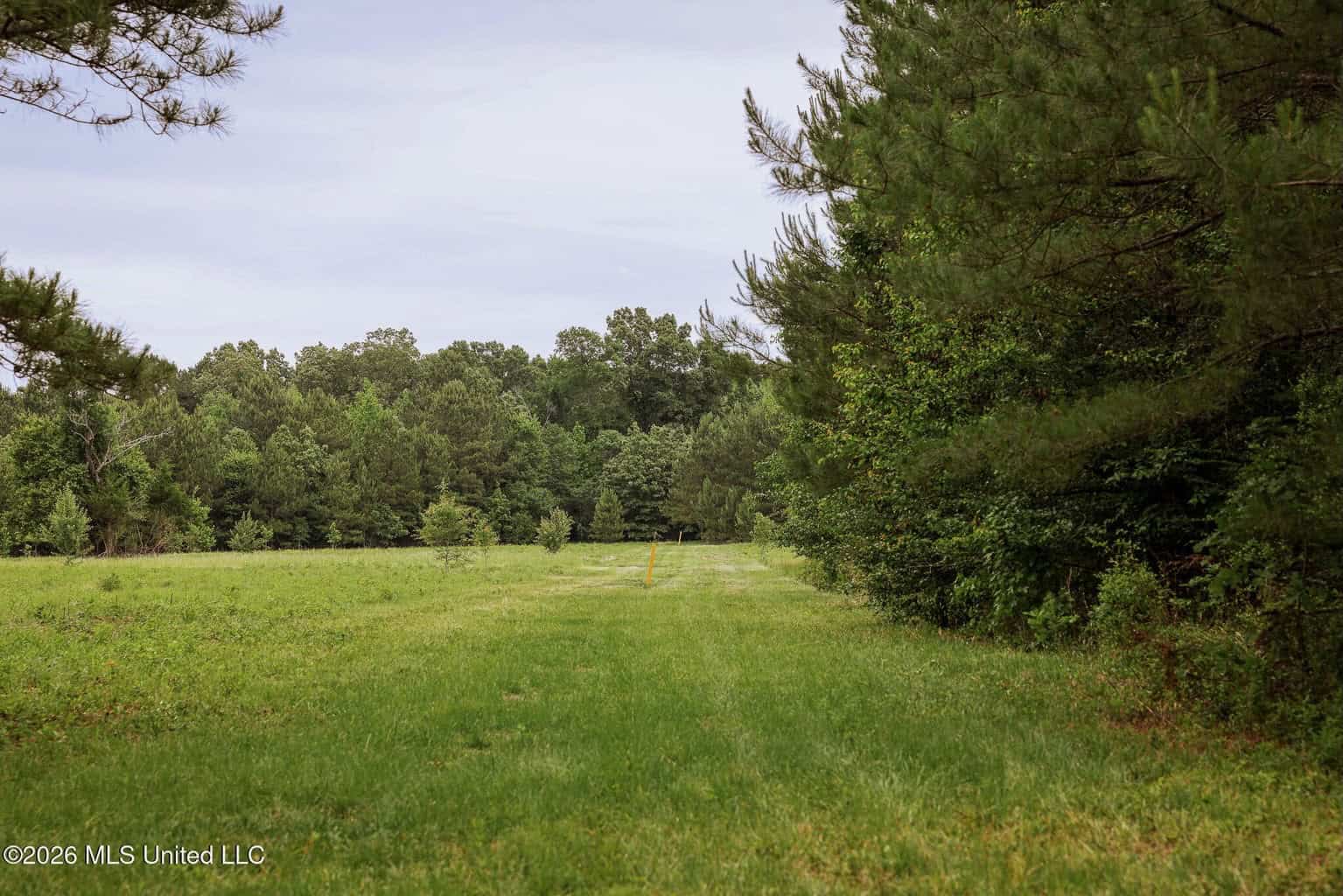 Land for Sale in Amite County, MS