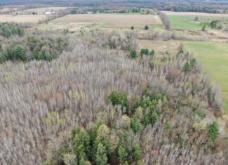120 acres located in the Town of Dewey, Portage County, WI