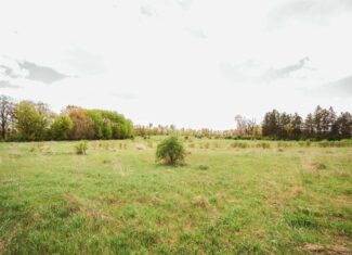 74 Acres in Dane County Town of York Rec, Hunting and Build Site for Sale