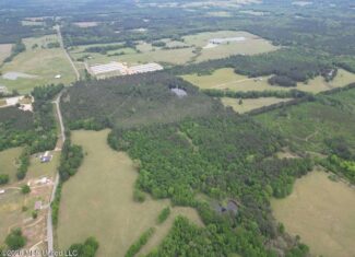 160 Acre in Bienville Parish Near Arcadia, Louisiana