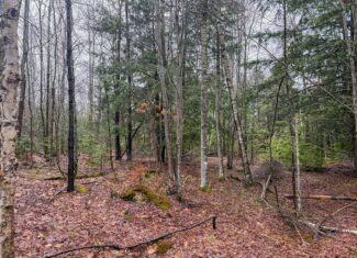 19 Acre Recreational Property – Detroit, Maine