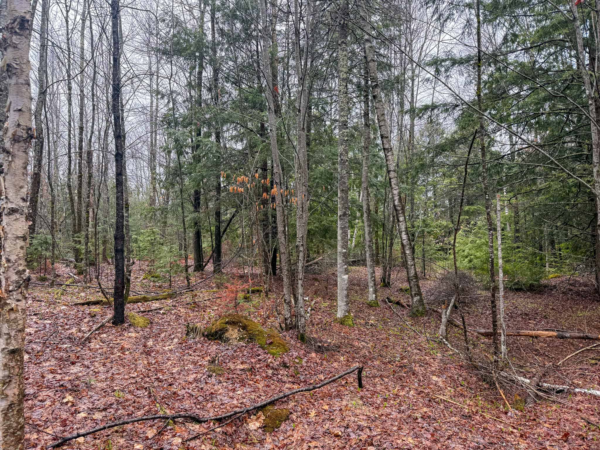 19 Acre Recreational Property – Detroit, Maine