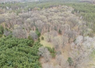 88 Acre Marquette County  WI Hunting Property For Sale