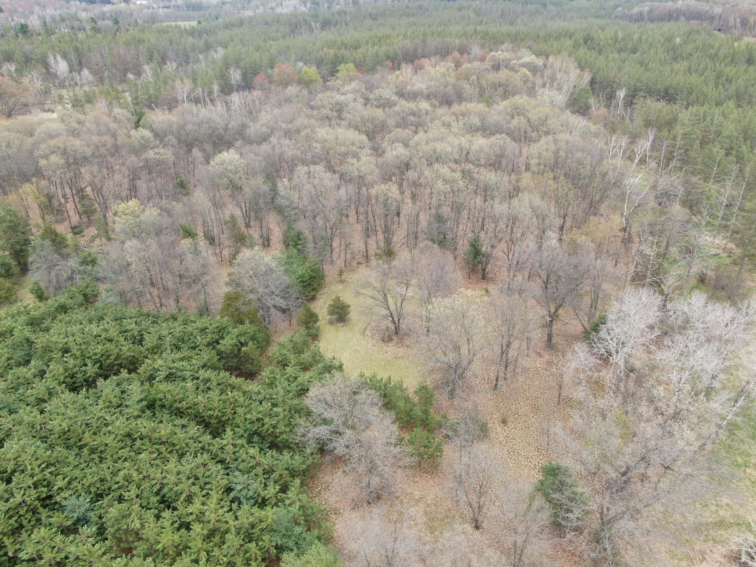 88 Acre Marquette County  WI Hunting Property For Sale