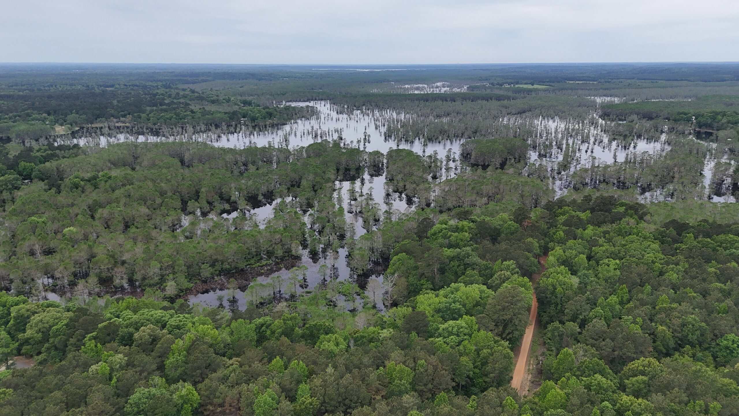 LA Recreation & Timber Property Joining Saline Lake