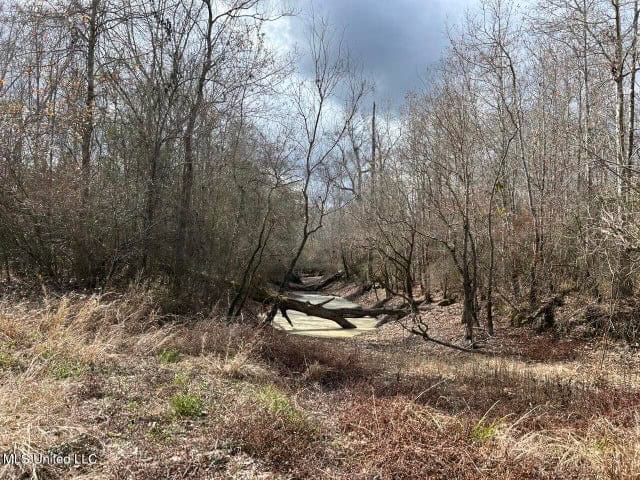 470 Acres on Calcasieu River in Allen Parish, LA