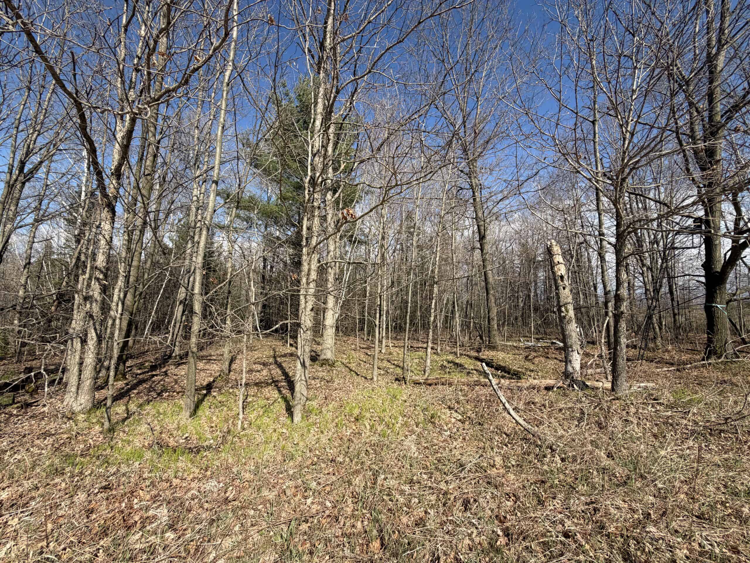 120 acres located in the Town of Dewey, Portage County, WI