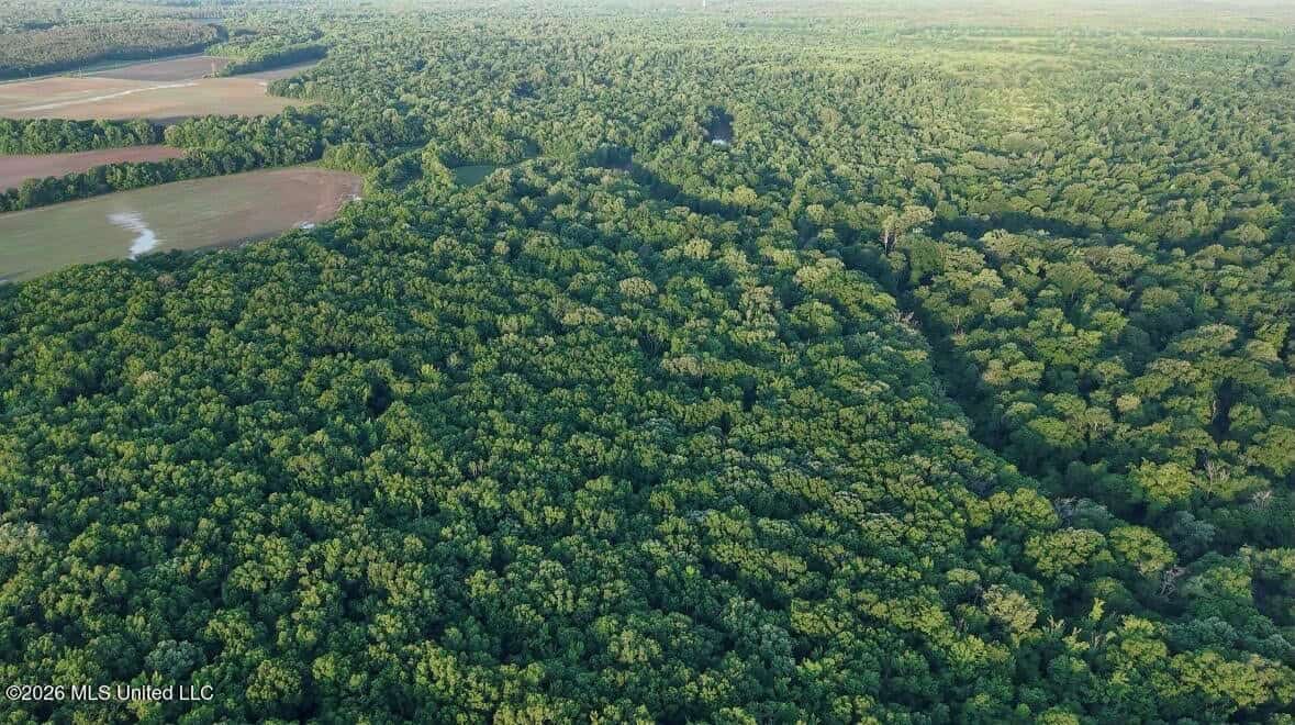 Booger Bottom Plantation 635 Surveyed Acres Attala Co MS