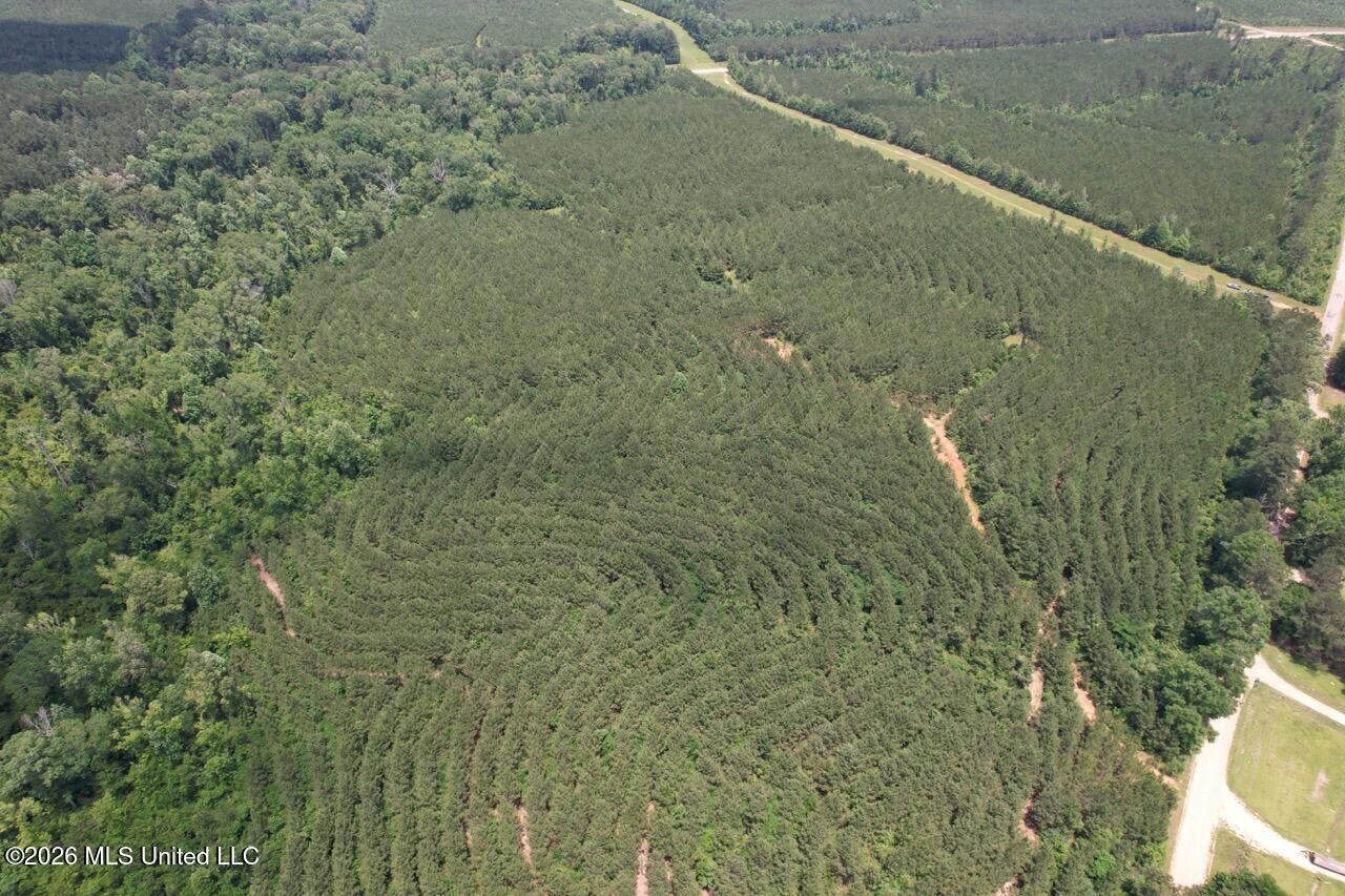 56 Acres in St. Helena Parish with Black Creek