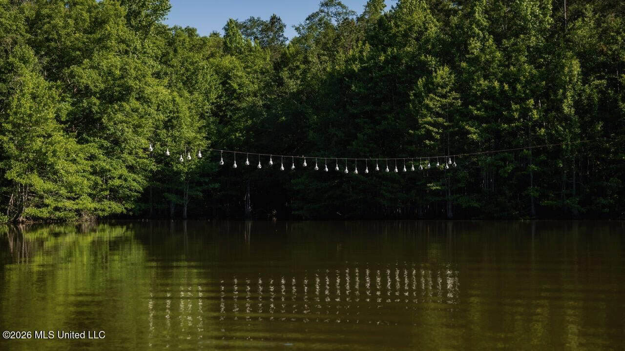 Luxury Estate on 98 Acres in Camden, AL
