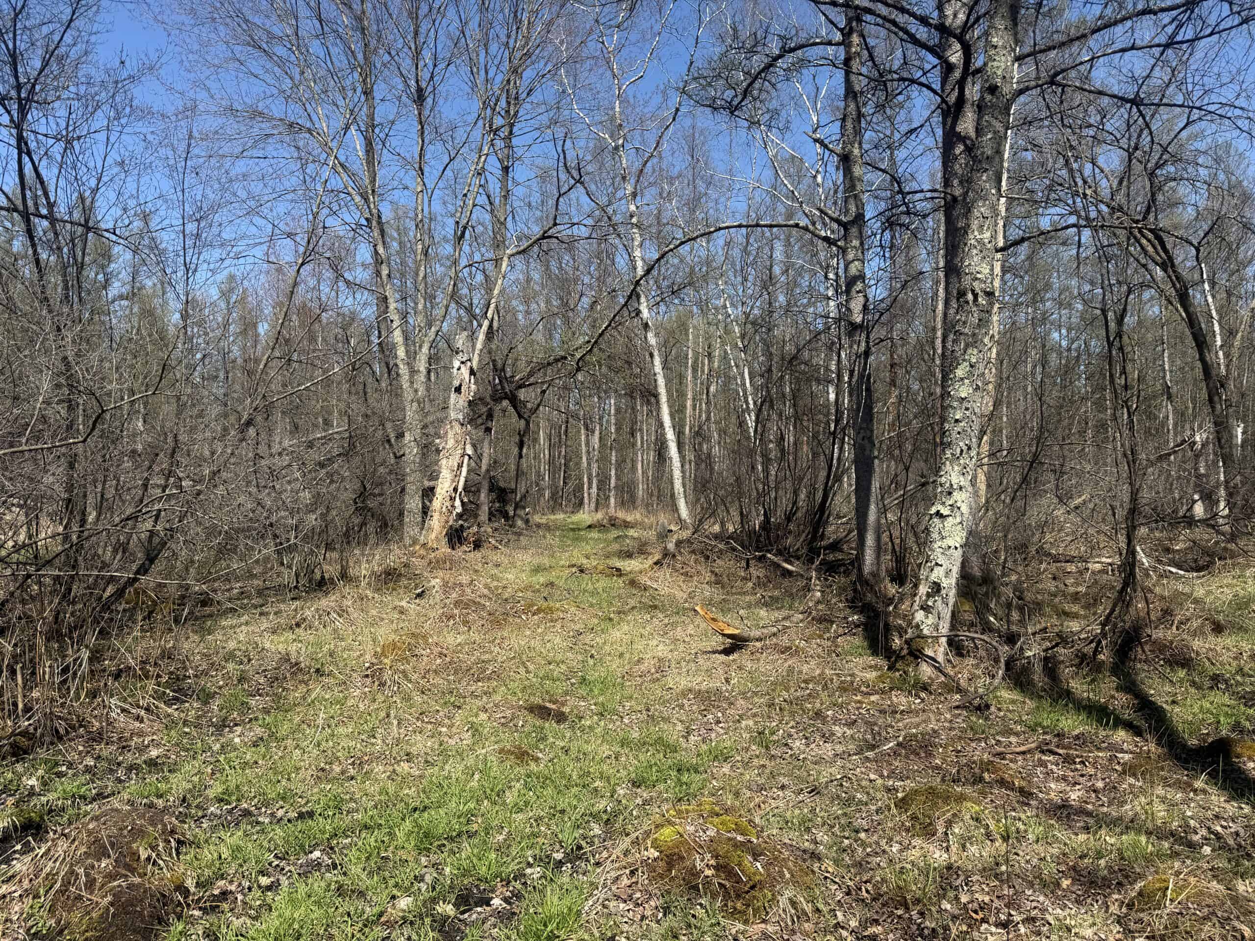 88 Acre Marquette County  WI Hunting Property For Sale