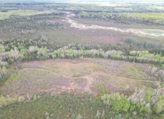 120 ± Acres with New Cabin located in Butternut, WI
