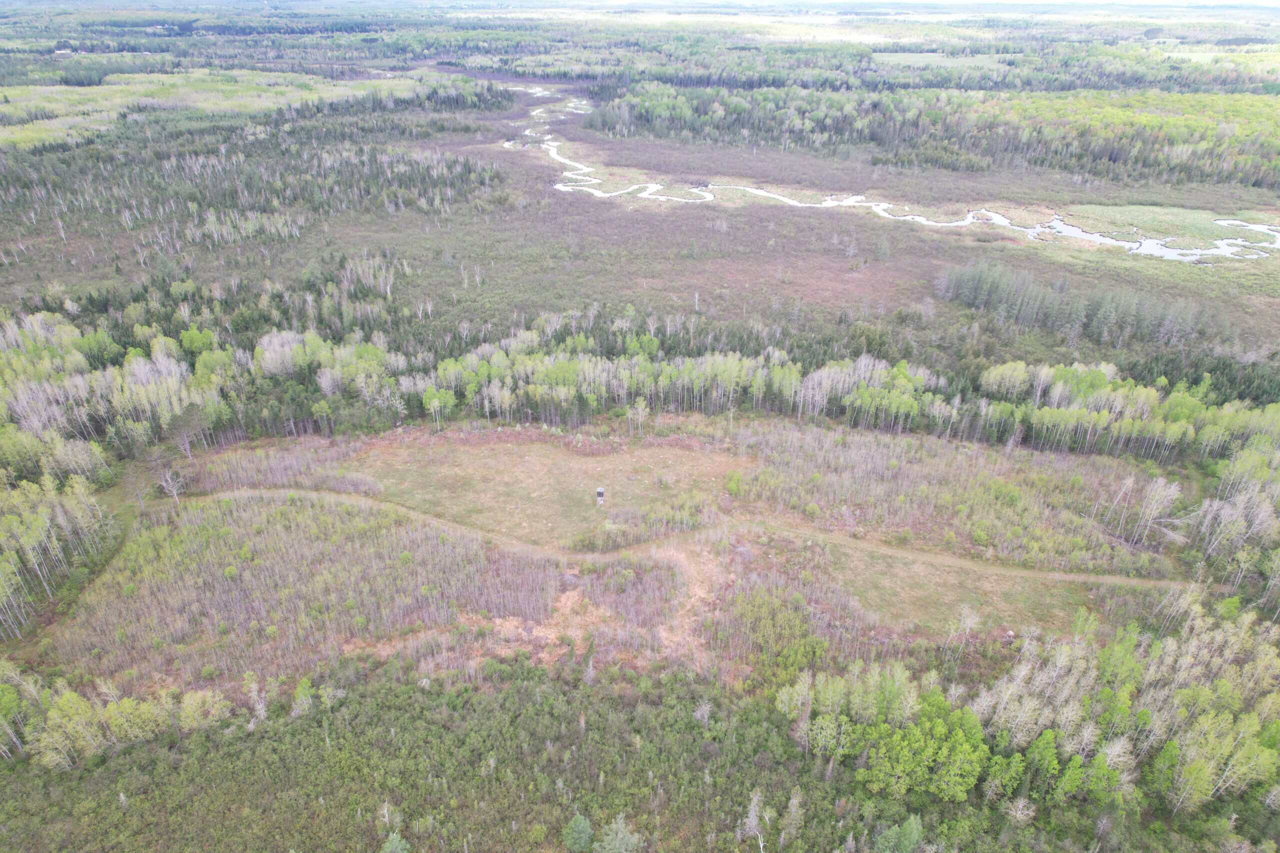 120 ± Acres with New Cabin located in Butternut, WI