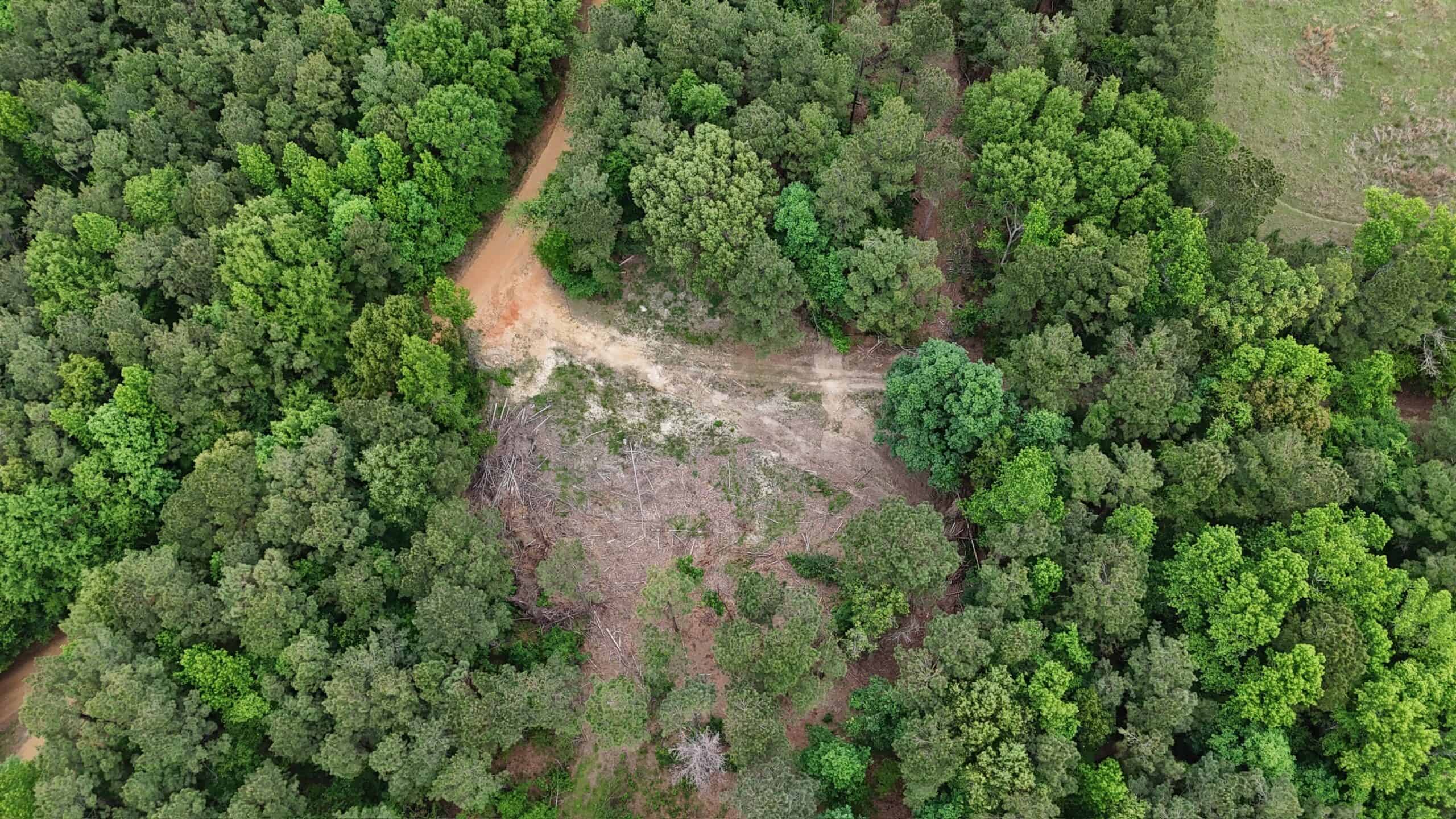 LA Recreation & Timber Property Joining Saline Lake