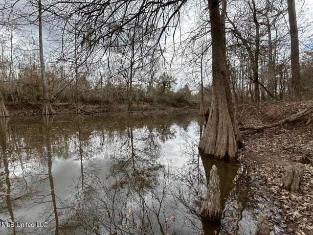 470 Acres on Calcasieu River in Allen Parish, LA