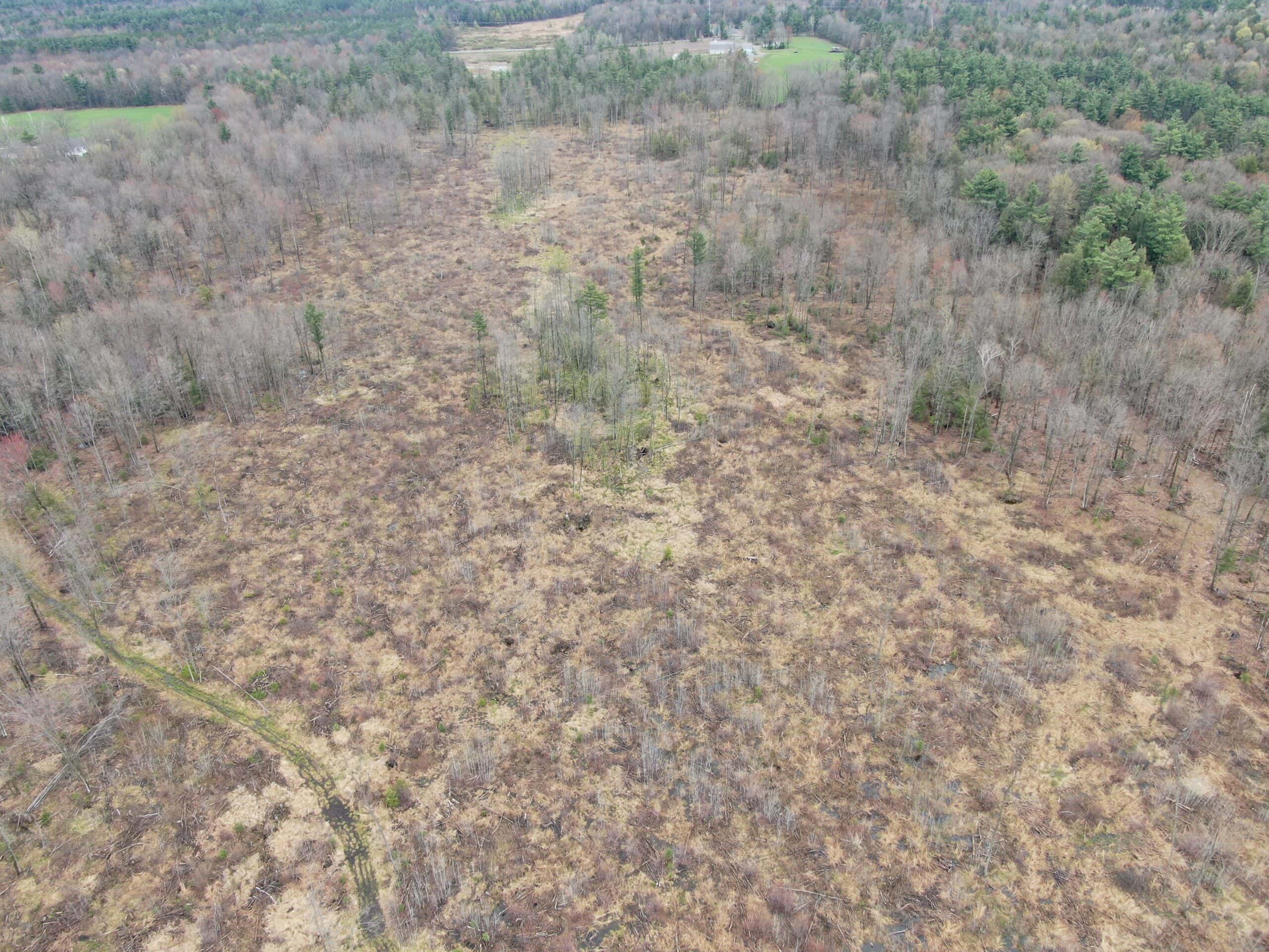 120 acres located in the Town of Dewey, Portage County, WI