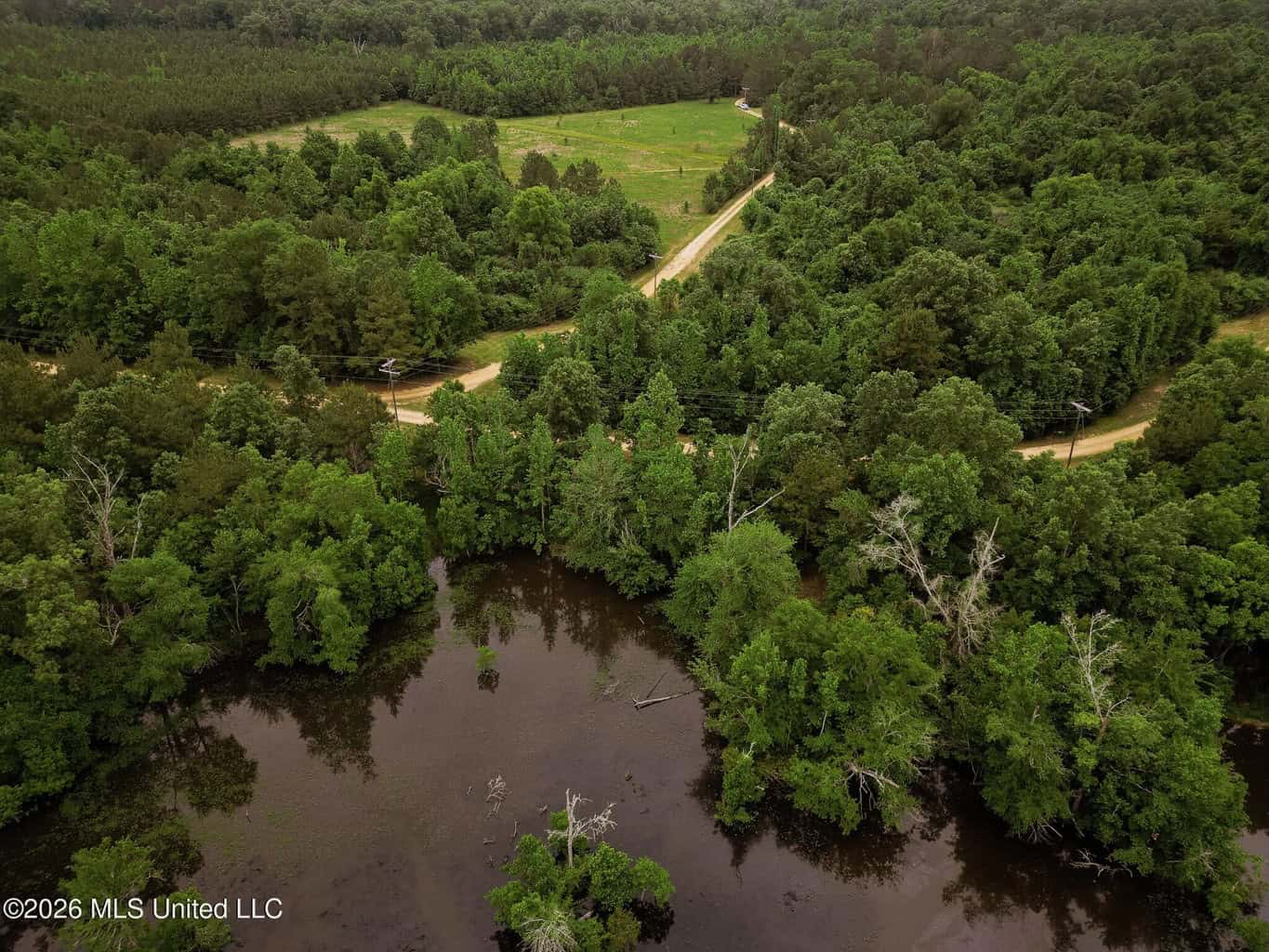 Land for Sale in Amite County, MS