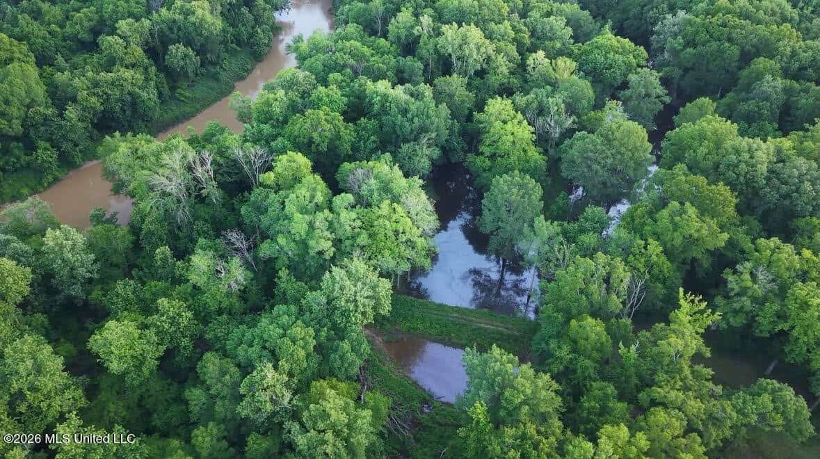 Booger Bottom Plantation 635 Surveyed Acres Attala Co MS