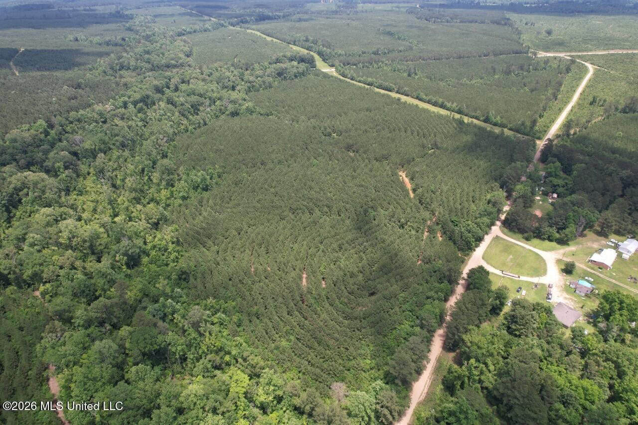 56 Acres in St. Helena Parish with Black Creek